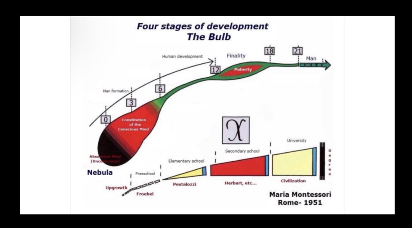 montessori education image